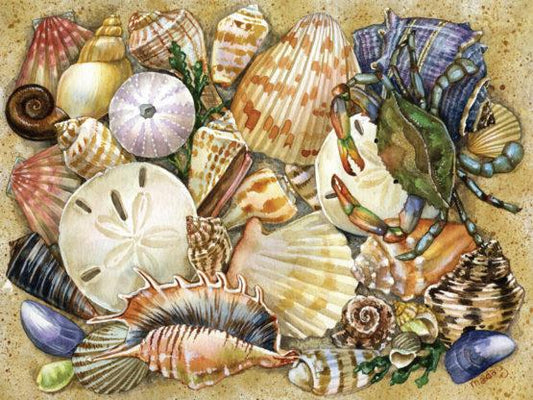 Tidal Treasures