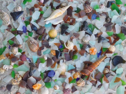 Beach Treasure