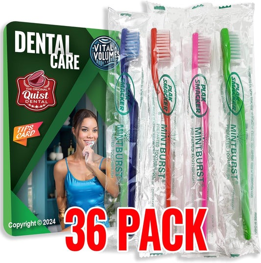 Mintburst Prepasted Individually Wrapped Toothbrush (36 Toothbrushes) and Quist Vital Volumes Dental Card | Bundle (36 Pack)