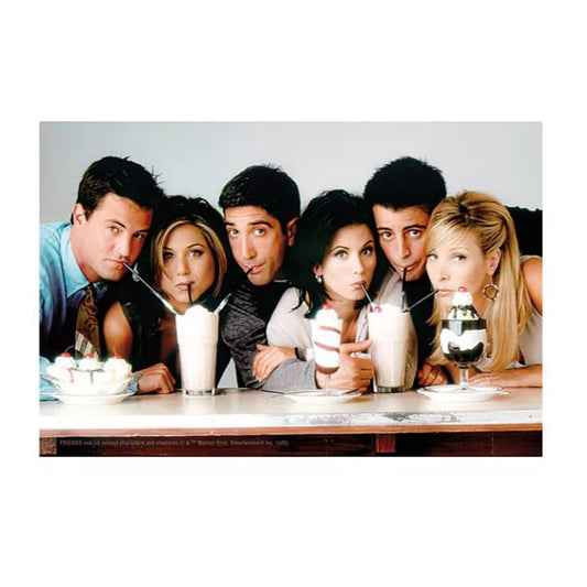 Friends 150 Piece Micro Puzzle