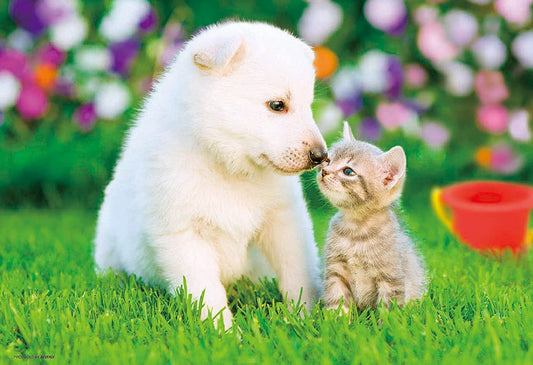 BEVERLY P33-198 Jigsaw Puzzle Puppy And Kitten Love 300 Pieces