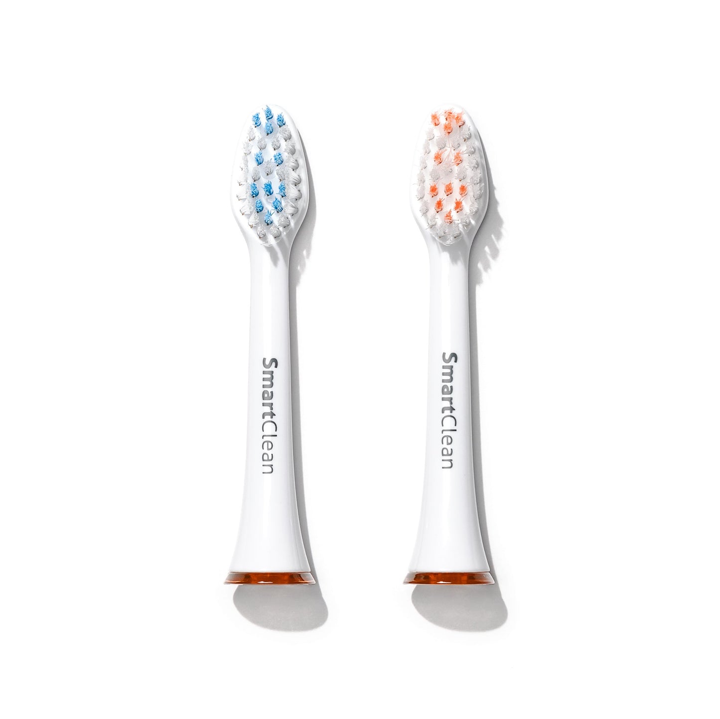 Complete Oral Care Box Renewal