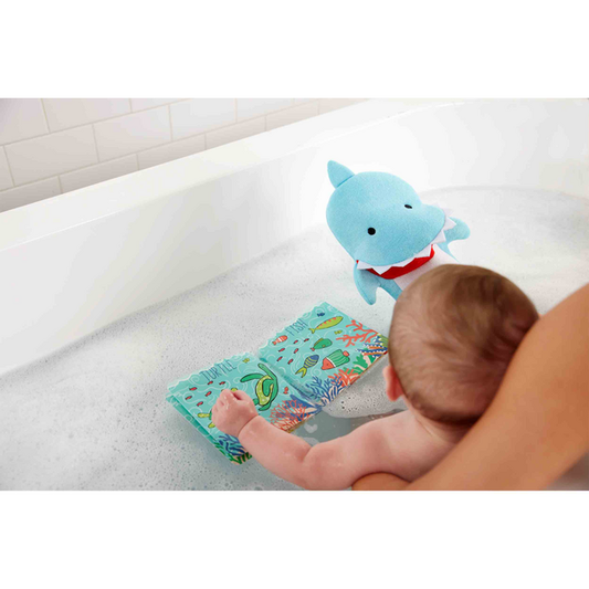 Color Changing Book With Bath Mitt